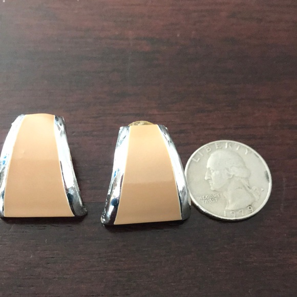 Women’s Tan and silver Earrings - Picture 1 of 4